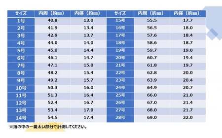 【オーダーメイド】 平打ち リング 8㎜ × ガーネット  指輪 アクセサリー