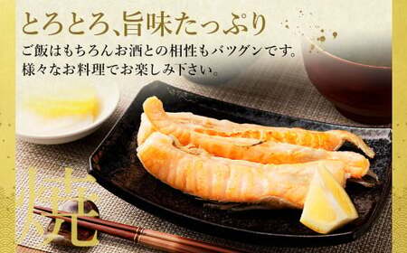 アトランティックサーモン 大トロサーモンハラス干し 約6kg サーモン ハラス 魚 さかな 一夜干し おかず