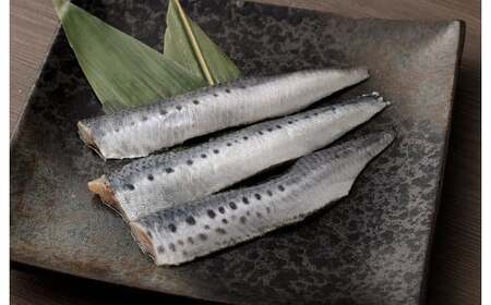 いわし フィーレ 加熱用 約3kg 鰯 イワシ