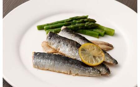 いわし フィーレ 加熱用 約3kg 鰯 イワシ