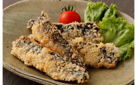 いわし フィーレ 加熱用 約3kg 鰯 イワシ