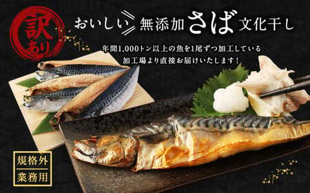 【訳あり規格外】  業務用 無添加 さば文化干し どーんと! 4.8kg 鯖 さば 干物 魚