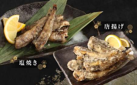 めひかり 頭取り 加熱用 約500g×3袋 メヒカリ 目光り 魚 さかな 唐揚げ 塩焼き