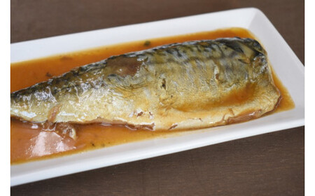 骨までやわらか 銚子近海産 さばのみそ煮 1枚入り×10袋 さばの味噌煮 煮物 煮付け