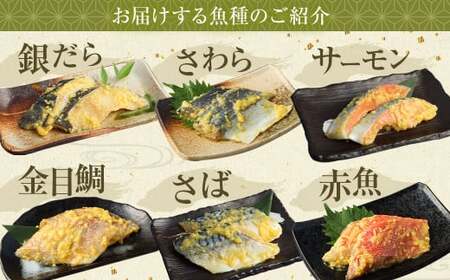 訳あり 厳選 西京漬け おまかせ5種 20枚セット