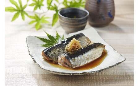 氷温熟成 イワシ生姜煮 115g 2パック入り×5袋 鰯 煮付け おかず