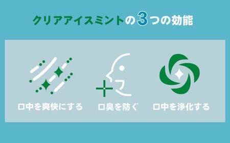 マウスウォッシュ メイクアニューハビット クリアアイスミント975ml×5個セット 合計 4,875ml 洗口液 日用品 歯磨き 歯みがき
