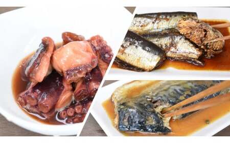 骨までやわらか 銚子近海産物 詰め合わせ セット 各2袋 地だこ いわし さばの味噌煮