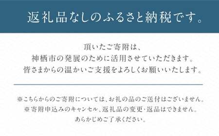 【10,000円】神栖市への寄附 (返礼品はありません)