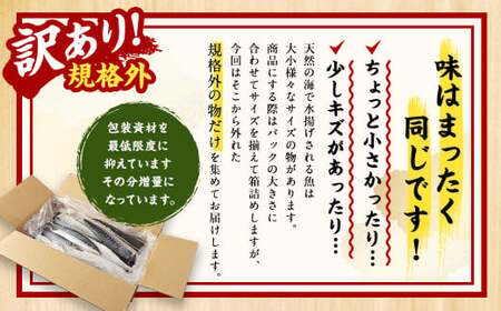 【訳あり規格外】 業務用無添加塩さば 1.5kg 鯖 さば 塩サバ 干物 魚
