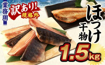 【訳あり規格外】業務用 ほっけ干物 1.5kg 干物 ホッケ 縞ほっけ ほっけ