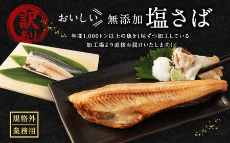 【訳あり規格外】 業務用 無添加 塩さば 1kg 鯖 さば 塩サバ 干物 魚