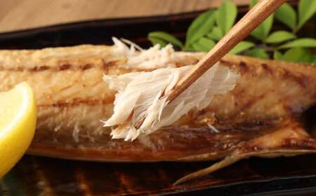 【6ヶ月定期便】とんでもない鯖真空パック4枚×6回 合計24枚