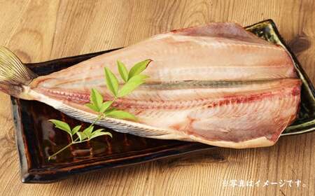 BB-10 迷うなら全部入れちゃう干物セット 6～8枚（金目鯛、縞ホッケ、さんま、真アジ、サバ、いか、赤魚など）