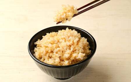 令和5年産米専用冷蔵庫保管 なつほのか20kg 玄米