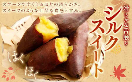 “熟成” 茨城県産 さつまいも 【 シルクスイート 】 約5kg （茨城県共通返礼品・行方市産） 芋 いも サツマイモ 野菜 やさい 国産