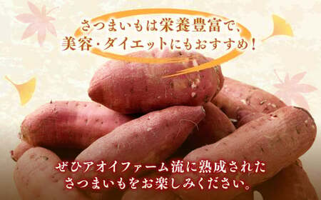 “熟成” 茨城県産 神栖市産 さつまいも 【 紅はるか 】 約5kg 芋 いも サツマイモ 野菜 やさい 国産 【2024年12月上旬より順次発送開始】