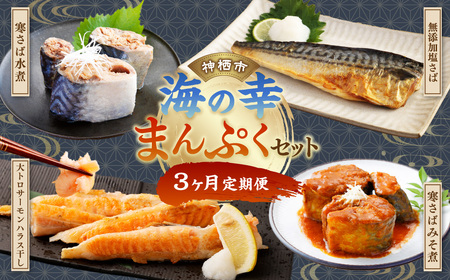 【3ヶ月定期便】 神栖市 海の幸 まんぷく セット （業務用無添加塩さば3kg・大トロサーモンハラス干し約2kg・産地がわかる寒さば水煮／産地がわかるみそ煮 各190g×6缶）