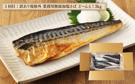 【3ヶ月定期便】 神栖市 海の幸 まんぷく セット （業務用無添加塩さば3kg・大トロサーモンハラス干し約2kg・産地がわかる寒さば水煮／産地がわかるみそ煮 各190g×6缶）