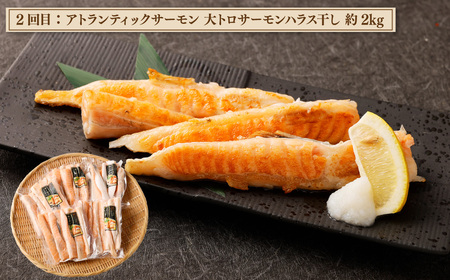 【3ヶ月定期便】 神栖市 海の幸 まんぷく セット （業務用無添加塩さば3kg・大トロサーモンハラス干し約2kg・産地がわかる寒さば水煮／産地がわかるみそ煮 各190g×6缶）