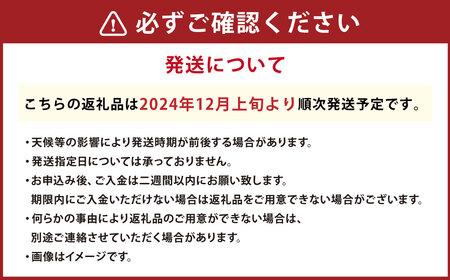 大好評!アールスメロン（1玉）化粧箱入【2024年12月上旬より発送開始】 メロン フルーツ 果物 めろん ギフト お取り寄せ クリスマス 茨城県 神栖市