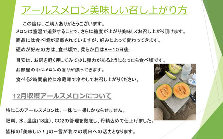 大好評!アールスメロン（1玉）化粧箱入【2024年12月上旬より発送開始】 メロン フルーツ 果物 めろん ギフト お取り寄せ クリスマス 茨城県 神栖市