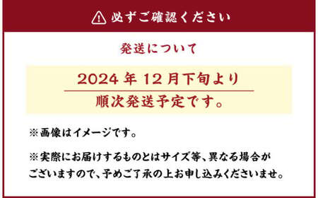 【3等品】千両・松・花木セット お正月飾り 【2024年12月下旬より順次発送開始】 お正月 正月 花木