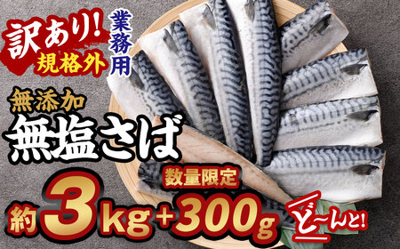 【訳あり規格外】 業務用 無添加 無塩さば どーんと! 3kg+300g 鯖 さば サバ 魚 お魚 さかな 魚介 魚介類