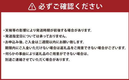 “熟成”茨城県神栖市産 干し芋（紅はるか） 合計 1kg（200g×5袋） 1箱  芋 さつまいも さつま芋 サツマイモ べにはるか 紅はるか ほしいも やさい 野菜