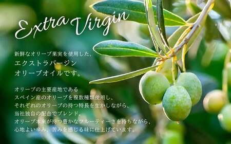 エクストラバージンオリーブオイル 300g×3本 計900g オリーブオイル 食用油