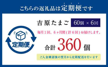 【６ヶ月定期便】濃厚プレミアム！！吉原たまご2箱 30個入り×2箱 計60個（54個＋割れ保証6個） 卵 たまご