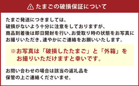 【６ヶ月定期便】濃厚プレミアム！！吉原たまご2箱 30個入り×2箱 計60個（54個＋割れ保証6個） 卵 たまご