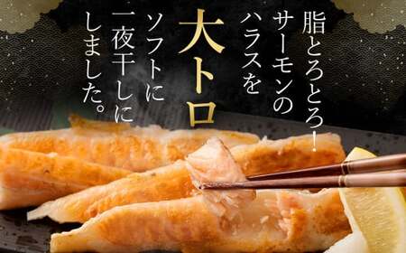 アトランティックサーモン 大トロサーモンハラス干し 約800g 大トロ サーモン ハラス 魚 さかな 魚介類 一夜干し 干物 おかず