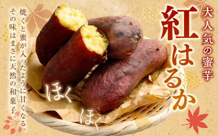 “熟成” 茨城県産 神栖市産 さつまいも 【 紅はるか 】 約10kg  芋 いも サツマイモ 野菜 やさい 国産