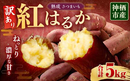 【 訳あり 】“熟成” 茨城県産 神栖市産 さつまいも 【 紅はるか 】 約5kg 芋 いも サツマイモ 野菜 やさい 国産 
