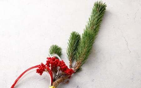 【2025年10月上旬~2026年3月下旬迄発送予定】水引飾り松 1本 寿松 松 5年物 水引 造花南天 南天 ハウス栽培 お正月 お祝い 引き出物 御中元 プレゼント