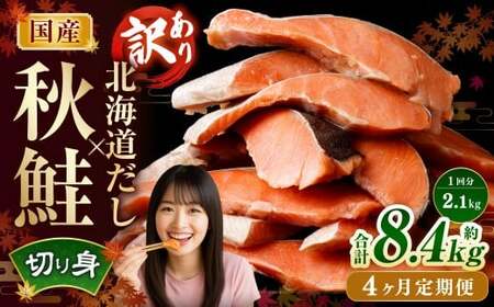 【4ヶ月定期便】 ［訳あり］ 国産秋鮭 北海道だし切り身 約2.1kg×4回 計約8.4kg ／ 鮭 しゃけ シャケ 秋鮭 天然秋鮭 切身 切り身 鮭節 かじか 昆布 しいたけ ブレンド 出汁 だし 出汁入り鮭 冷凍