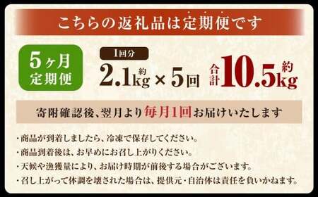【5ヶ月定期便】 ［訳あり］ 国産秋鮭 北海道だし切り身 約2.1kg×5回 計約10.5kg ／ 鮭 しゃけ シャケ 秋鮭 天然秋鮭 切身 切り身 鮭節 かじか 昆布 しいたけ ブレンド 出汁 だし 出汁入り鮭 冷凍