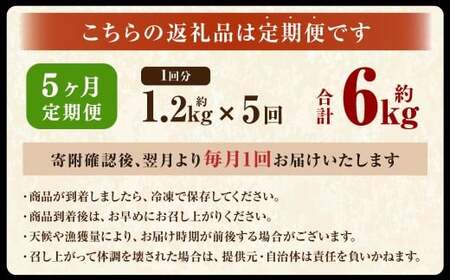 【5ヶ月定期便】 ［訳あり］ 国産秋鮭 北海道だし切り身 約1.2kg×5回 計約6kg ／ 鮭 しゃけ シャケ 秋鮭 天然秋鮭 切身 切り身 鮭節 かじか 昆布 しいたけ ブレンド 出汁 だし 出汁入り鮭 冷凍