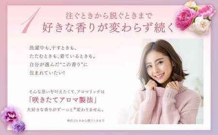 ソフラン アロマリッチ ダイアナ つめかえ 380ml×20個 ライオン 洗剤 洗濯用洗剤 洗濯 日用品 日用消耗品 詰め替えセット つめかえ 詰替 神栖市