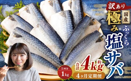 【4ヶ月定期便】【訳あり】国産 ふっくら 極み塩サバ 計約1kg ／ 1切れ 塩サバ 塩さば 塩鯖 さば サバ 鯖 魚