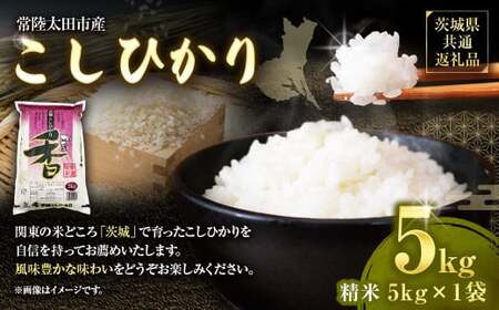 【令和7年産 新米】茨城県産こしひかり 精米5kg(茨城県共通返礼品・常陸太田市産) / コシヒカリ 米 お米 こめ おこめ コメ 白米 ご飯 ごはん