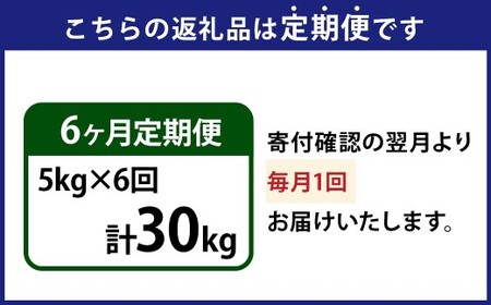 【6ヶ月定期便】 【令和7年産 新米】 茨城県産 こしひかり 精米 5kg （茨城県共通返礼品・常陸太田市産） 5kg×6ヶ月 （計30kg） コシヒカリ 精米 米 お米 こめ おこめ コメ 白米 ご飯 ごはん ギフト 贈り物 おすすめ 定期便 国産