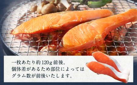 【 訳あり 】 厚切り 銀鮭切身 約1.8kg 銀鮭 鮭 サケ 切り身 魚 魚介 しゃけ 
