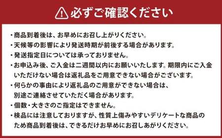 かむらのシイタケ富富 約700g 【2026年1月下旬まで発送予定】 椎茸 しいたけ シイタケ きのこ キノコ 冷蔵 国産