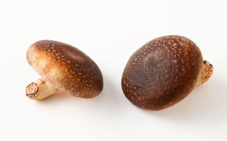 かむらのシイタケ富富 約700g 【2026年1月下旬まで発送予定】 椎茸 しいたけ シイタケ きのこ キノコ 冷蔵 国産