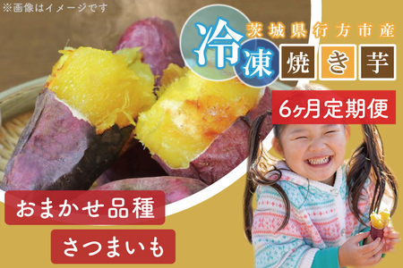 EY-13　【6ヶ月定期便】熟成紅はるかの冷凍焼き芋約1.2kg＋おまかせ品種さつまいも　合計1.3kg！