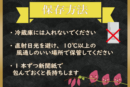 CU-194　【2024年12月より発送】【6ヶ月定期便】無選別　行方台地のさつまいも　紅はるか約10kg