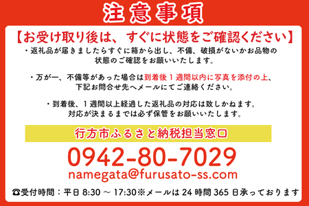 CU-194　【2024年12月より発送】【6ヶ月定期便】無選別　行方台地のさつまいも　紅はるか約10kg