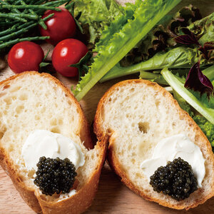 ふるさと納税 国産キャビアVoeu-Pense・チョウザメセット 茨城県河内町 先行予約受付2025年12月より順次発送国産キャビアVoeu-Pense